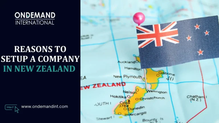 reasons to setup a company in new zealand