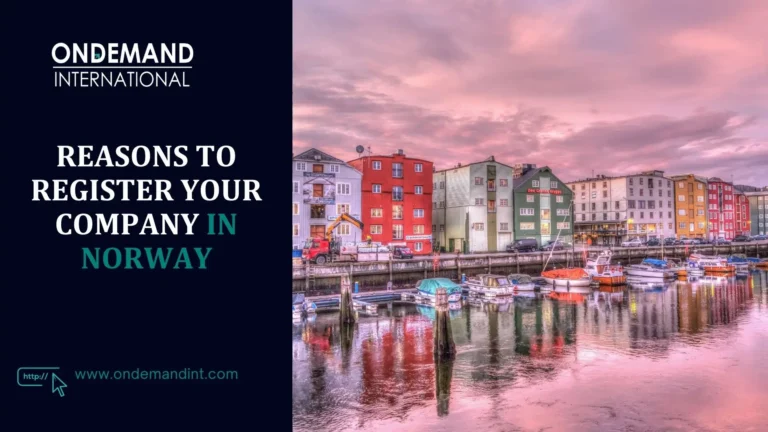 reasons to register your company in norway