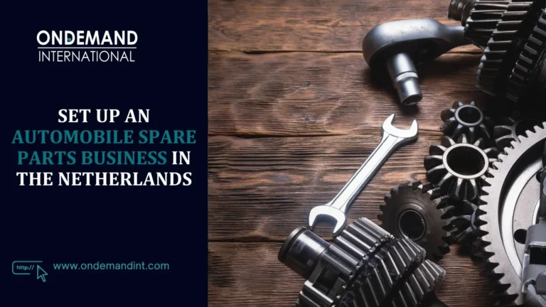 set up an automobile spare parts business in the netherlands