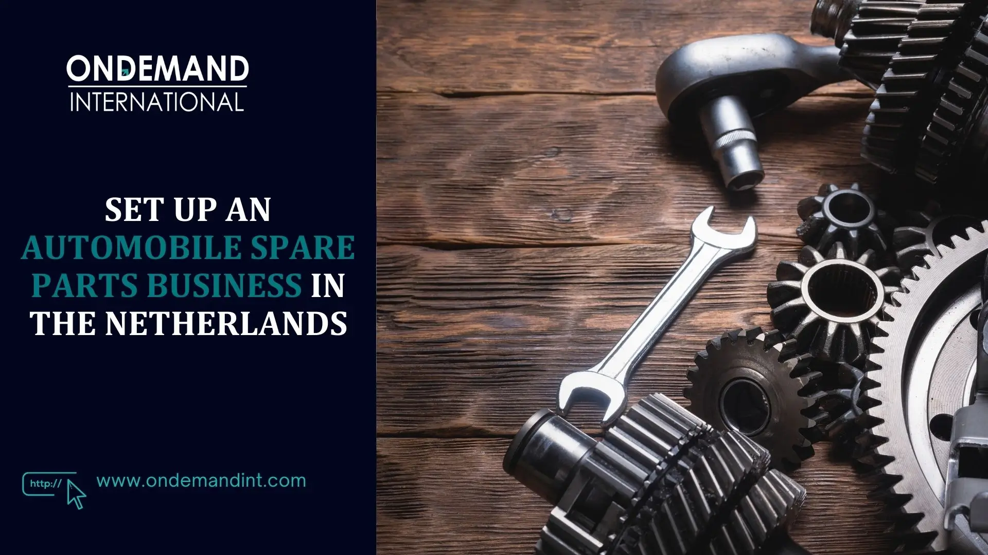 set up an automobile spare parts business in the netherlands