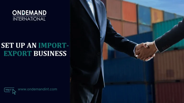 set up an import-export business