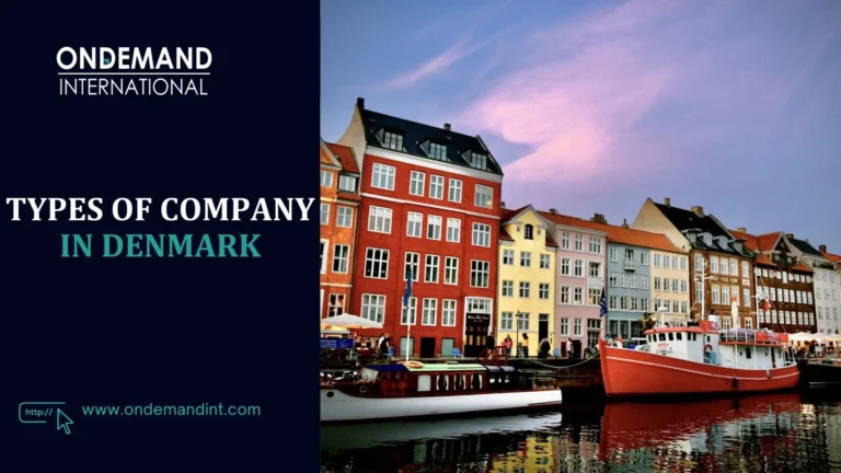 types of company in denmark