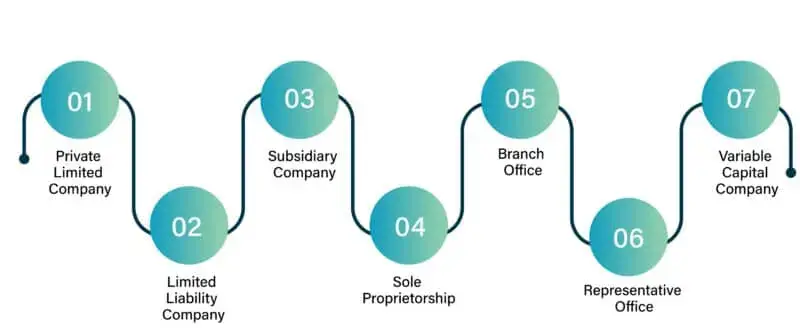 7 types of business entities for company registration in singapore