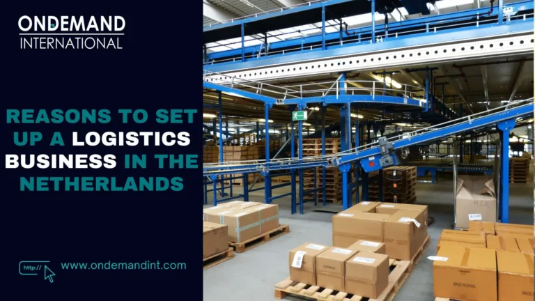 reasons to set up a logistics business in the netherlands