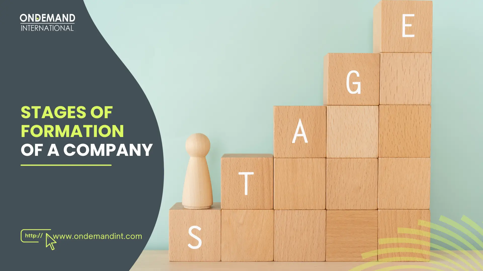 stages of formation of a company