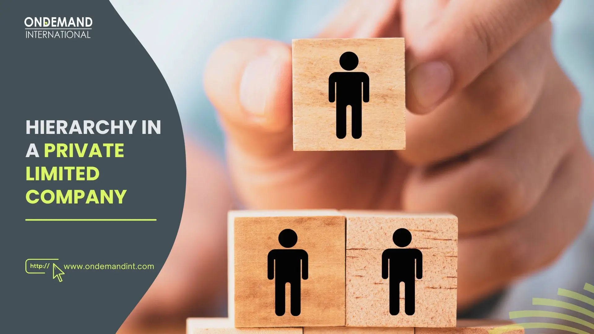 hierarchy in a private limited company