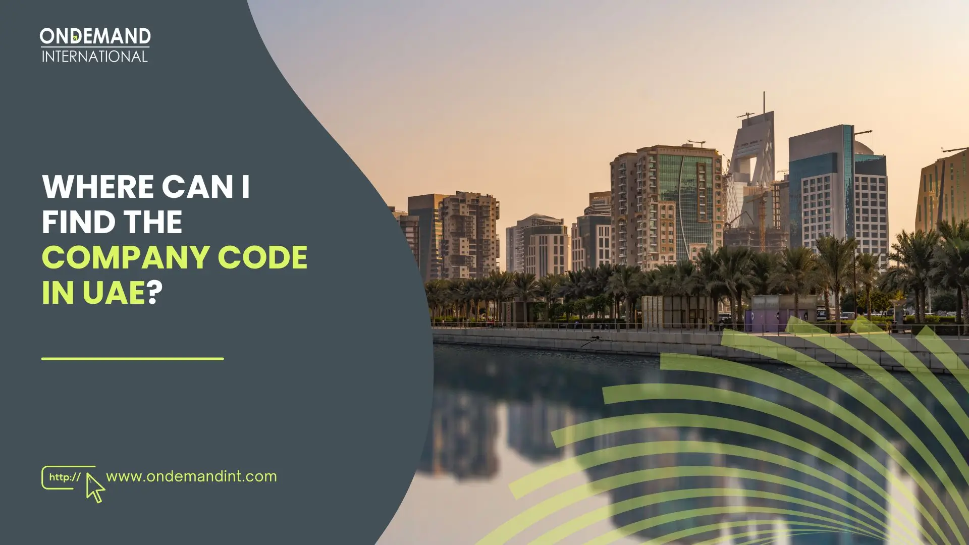 where can i find company code in the uae