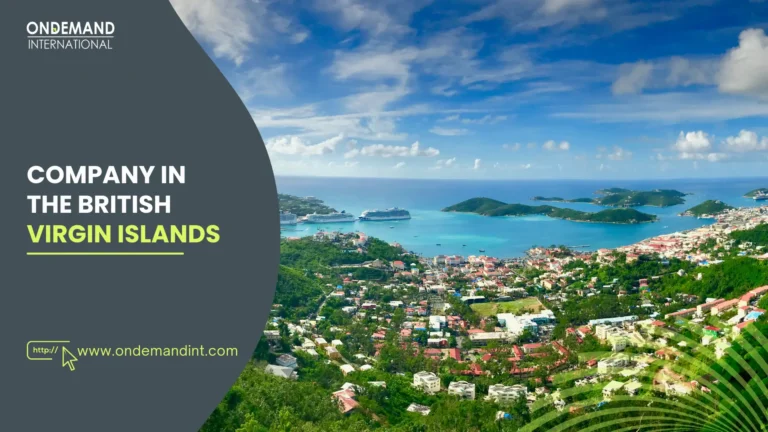 types of company in the british virgin islands