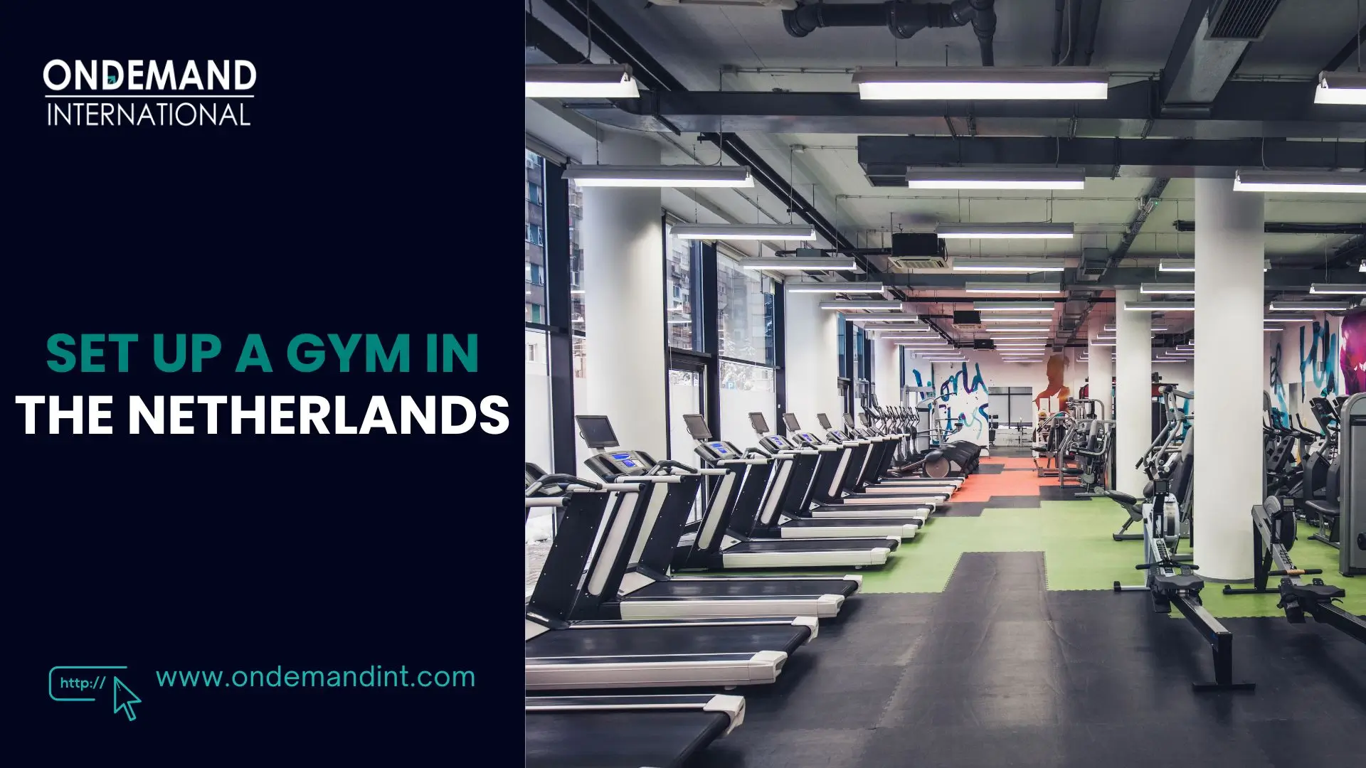 set up a gym in the netherlands