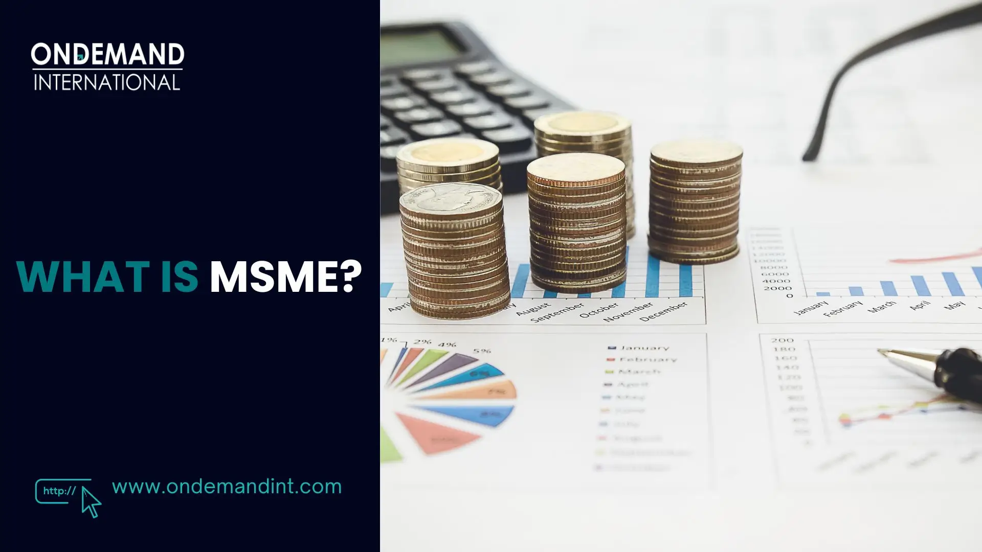 what is msme