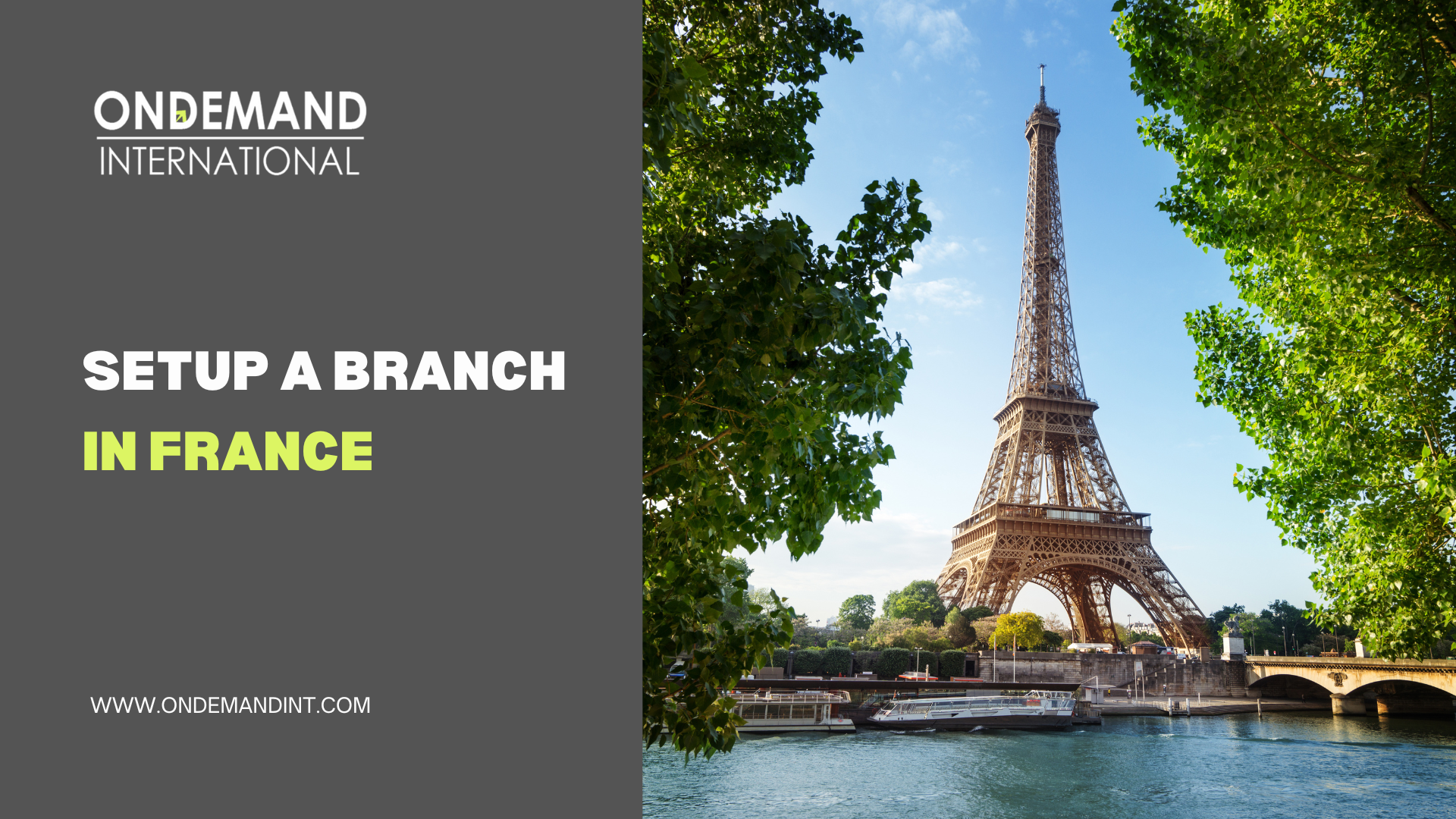 Branch in France