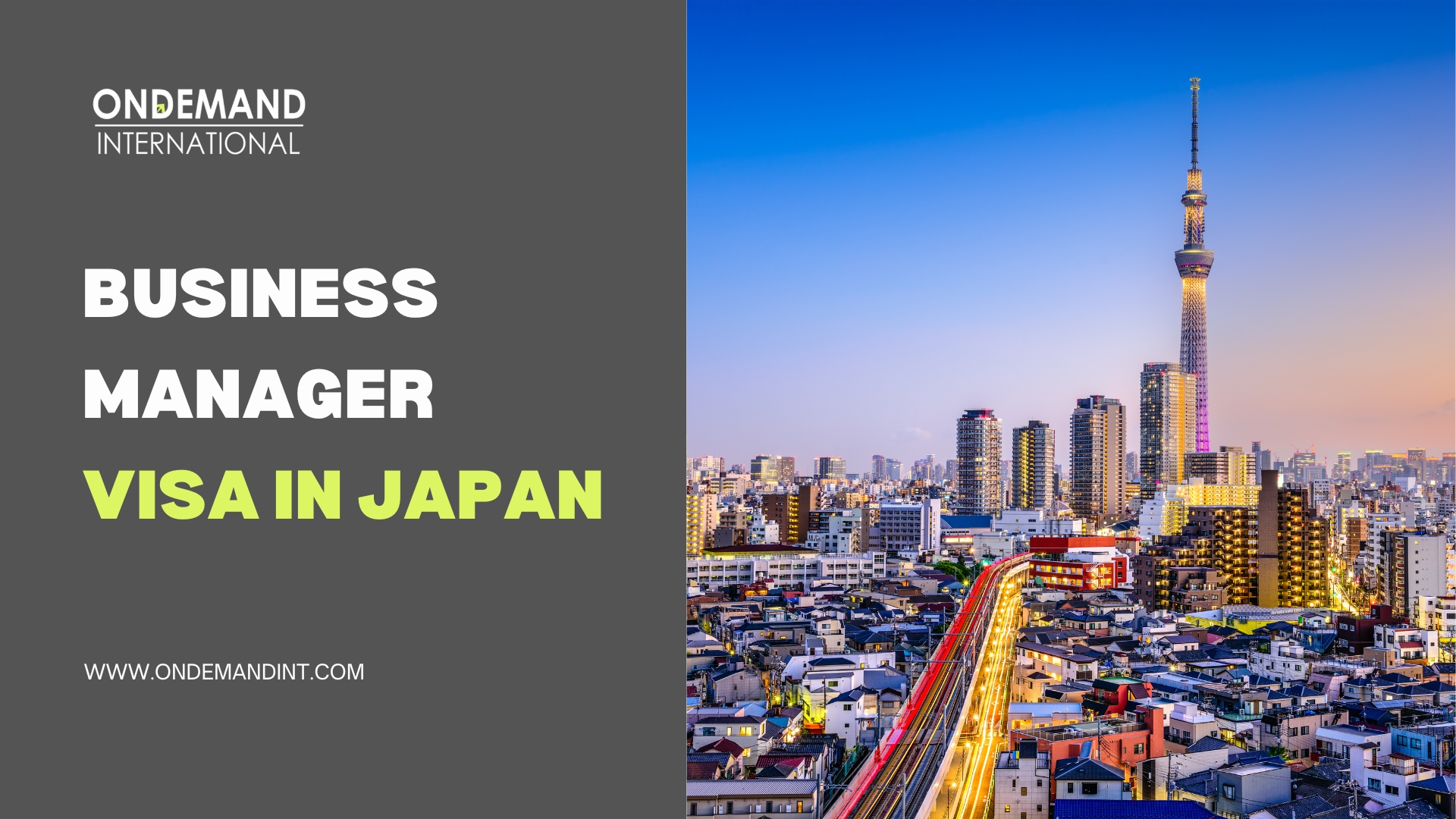 business manager visa