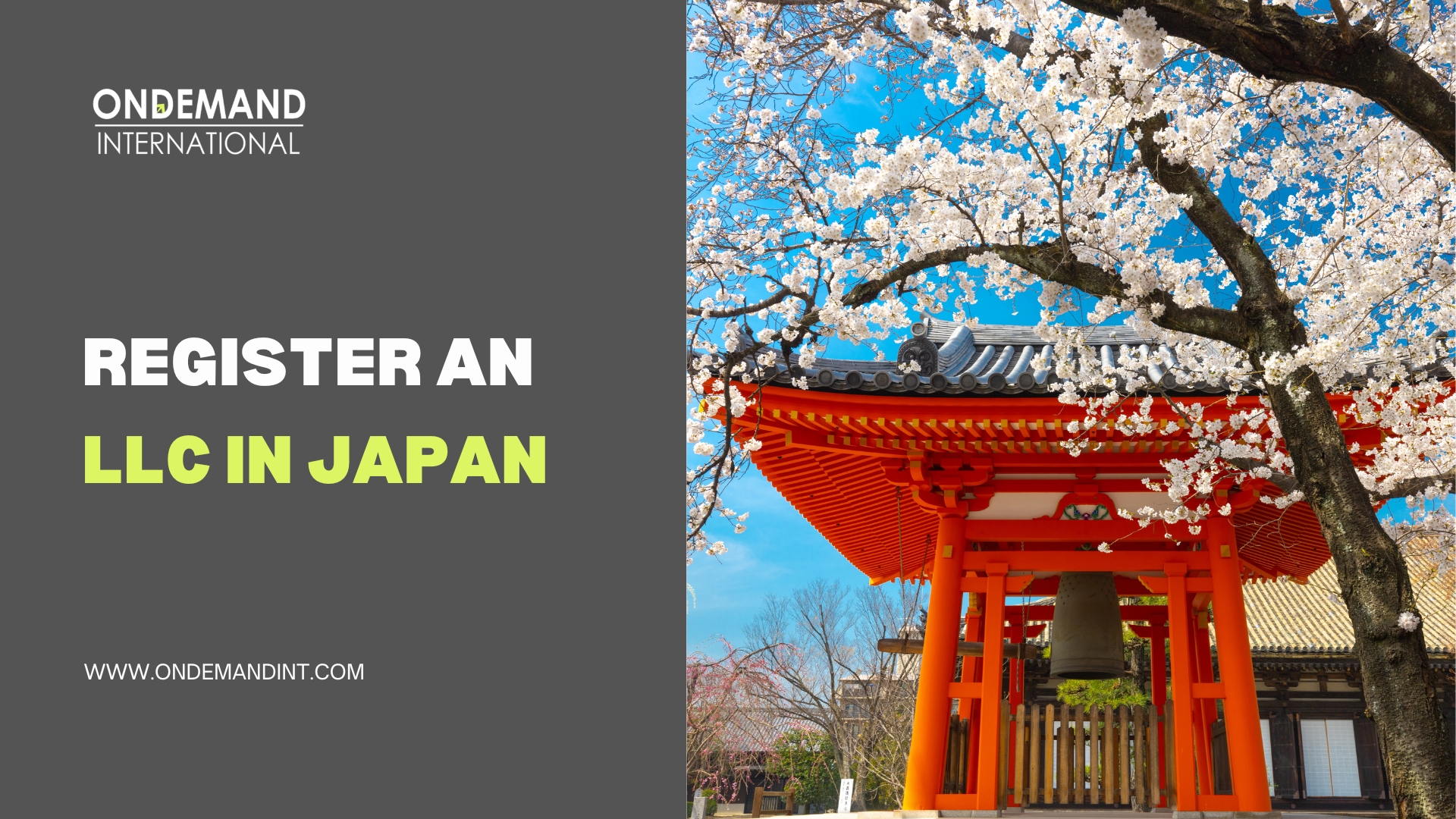 LLC in Japan