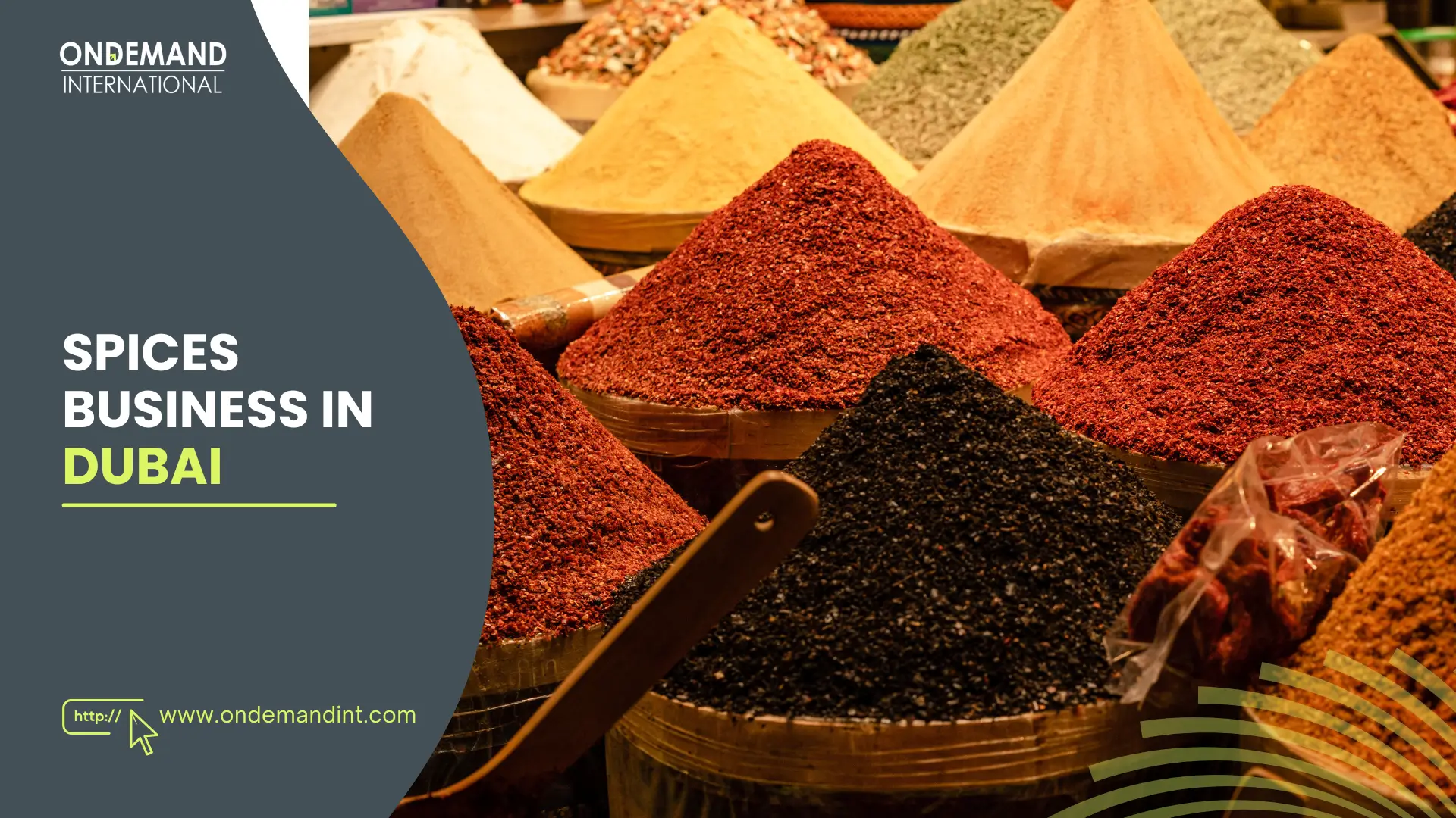 In this article, we have discuss about starting a spices business in Dubai, UAE in 2026.