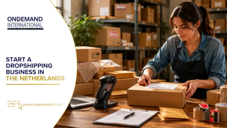 start a dropshipping business in the netherlands