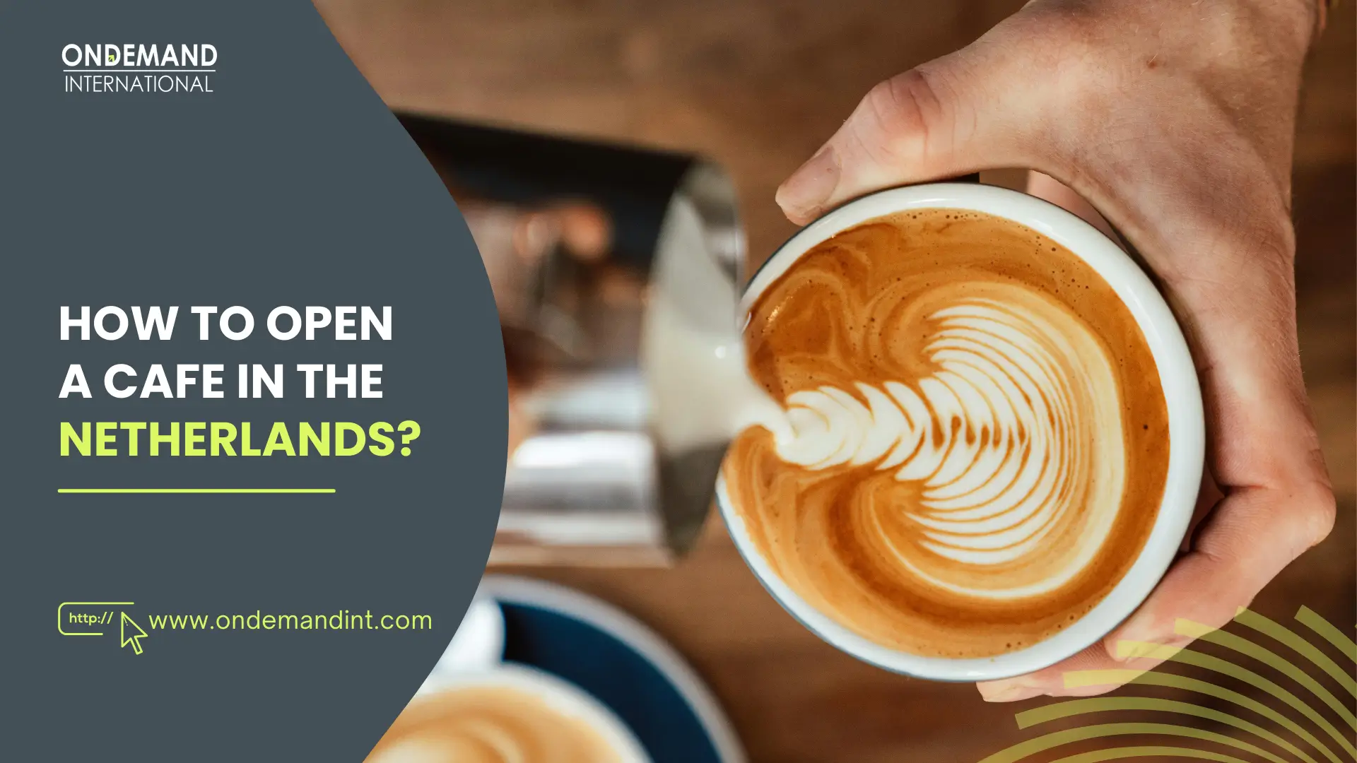 Discover the complete procedure, associated costs, regulations, and top locations to open a cafe in the Netherlands.