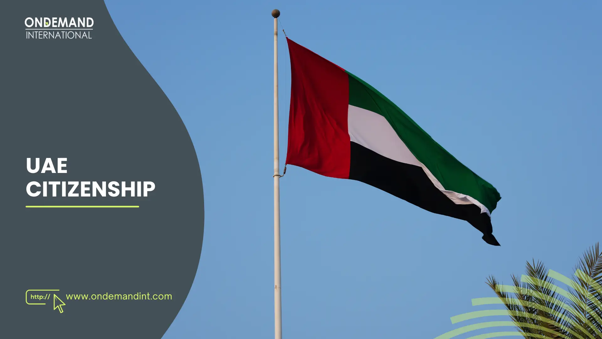 uae citizenship