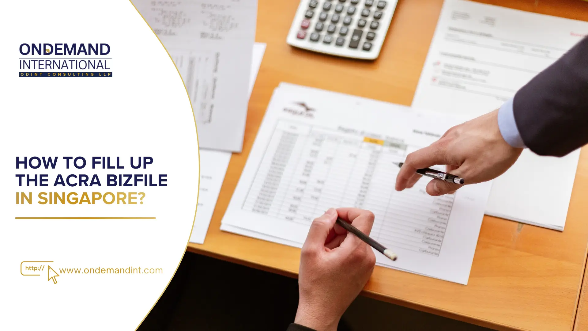 How to Fill Up the ACRA BizFile in Singapore