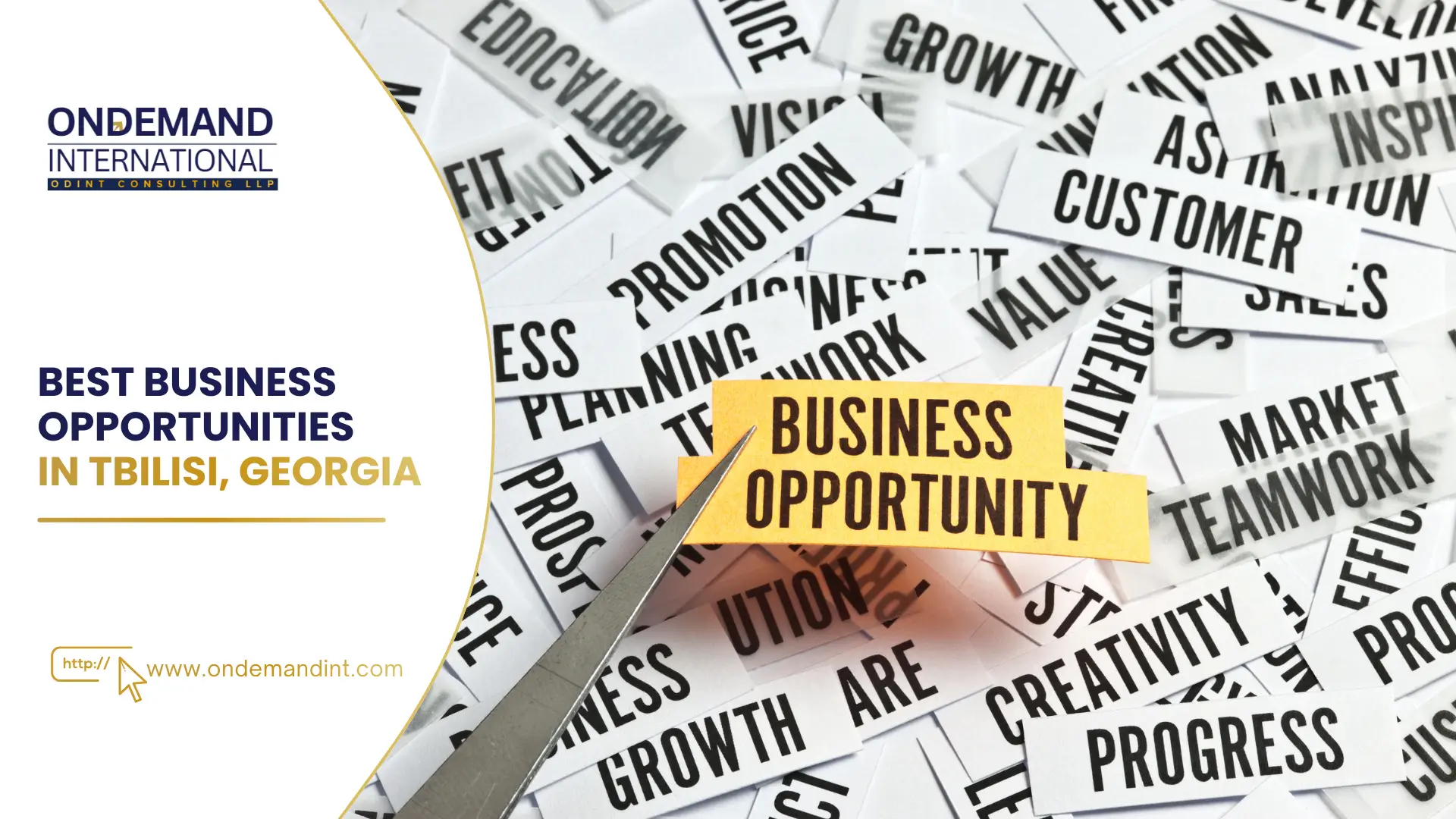 Best Business Opportunities in Tbilisi, Georgia