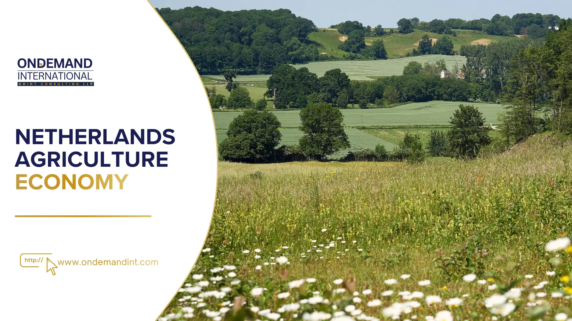 netherlands agriculture economy