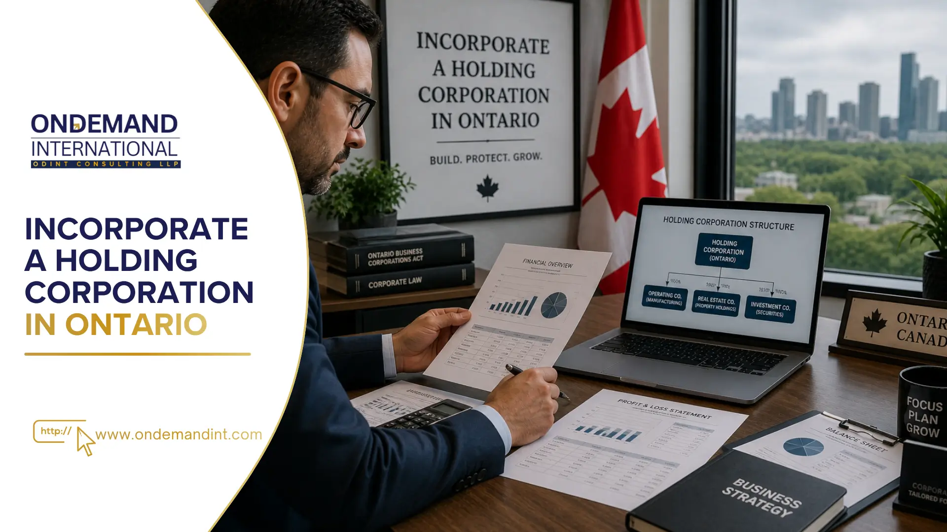 Incorporate a Holding Corporation in Ontario