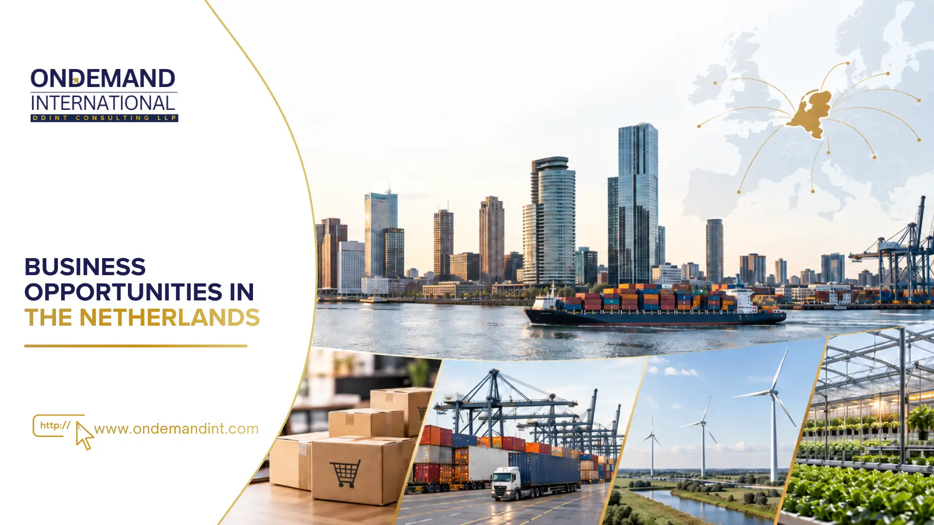 business opportunities in the netherlands