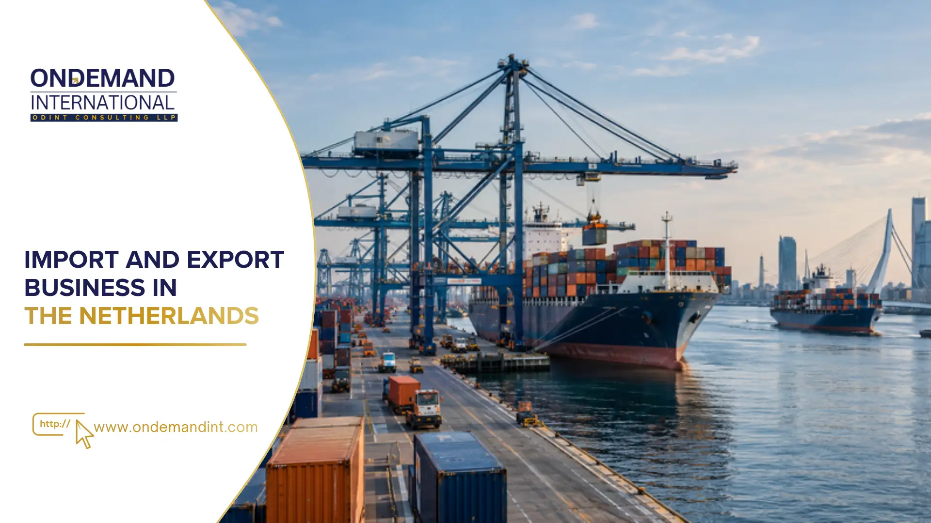 import and export business in the netherlands
